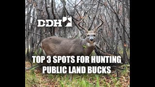 Top 3 Spots for Hunting Public Land Bucks [upl. by Ford782]