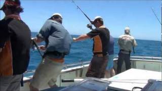 Jiggy Jiggy II  Extreme Montebello Jigging Mayhem Fishing for Coral Trout Cod and Emperor [upl. by Ailegna]