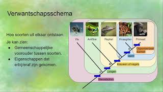 VerwantschapsschemaStamboom voor evolutie hoe lees je dat [upl. by Leonidas851]