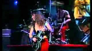 TED NUGENT STORMTROOPIN LIVE [upl. by Meggie]