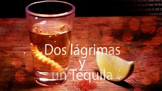 LA DINASTIA DE TUZANTLA MICH  DOS LAGRIMAS Y UN TEQUILA Video LyricsLetra [upl. by Neitsirhc]