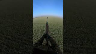 Beretta shotgun insta360 pheasanthunting rabbithunting huntingseason beretta [upl. by Marquita583]