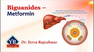 Biguanides  Metformin  Biguanides  YR Pharma Tube  Dr Yerra Rajeshwar  Dr YR [upl. by Yart]