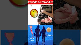 Comment connaître la période de fécondité pour tomber enceinte shorts fertilité svt svtameni [upl. by Akiram655]