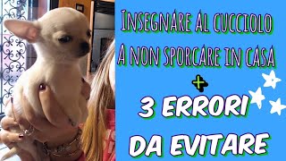 COME INSEGNARE AL CANE A FARE I BISOGNI FUORI  3 ERRORI DA EVITARE [upl. by Eran]