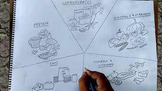 how to draw sources of carbohydrates  proteins and fats [upl. by Janela891]