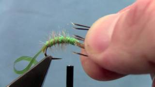 Tying with Hans Hydropsyche Caddis Larvae [upl. by Rhoades]