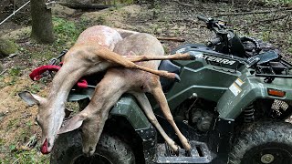 URBAN ARCHERY WHITETAIL HUNTING two deer down [upl. by Sidell]