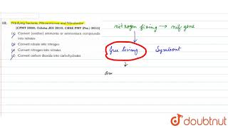 Nitrifying bacteria  Nitrosomonas and Nitrobactor [upl. by Ihab]