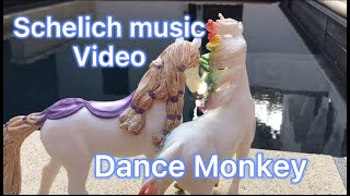 Schleich Music Video ❖𝔻𝕒𝕟𝕔ⅇ 𝙈ṏ𝗡𝗞𝒆𝘆❖ [upl. by Dolph414]