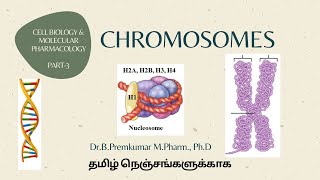 Chromosomes CBMPPart3Tamil [upl. by Reinal700]