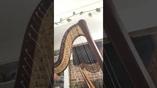 Waltz of the Flowers Harp Cadenza decent rendition [upl. by Ervine791]