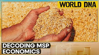 Decoding MSP and its impact on farmers and agriculture  WION World DNA [upl. by Straus588]