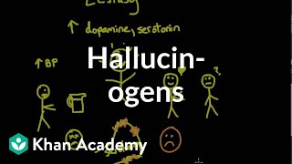 Psychoactive drugs Hallucinogens  Processing the Environment  MCAT  Khan Academy [upl. by Babbette]