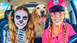 Skeleton Surprises Police and Puppy with Car Ride Chase [upl. by Eibo]