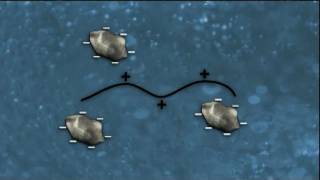 WSO Water Treatment Grade 1 Coagulation amp Flocculation Ch 8 [upl. by Annora]