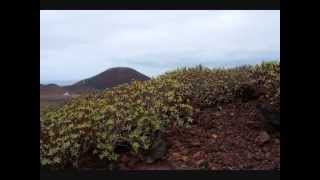 Ruta Los Volcanes de la Isleta la Montaña del Vigía Las Palmas de Gran Canaria [upl. by Nnarefinnej]