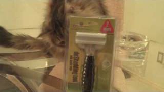 New FURminator deShedding Tool with Double Edge [upl. by Gert]