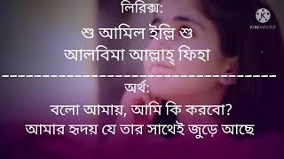 jannil jannil arabic song  বাংলা অর্থ  বাংলা লিরিক্স [upl. by Janie]