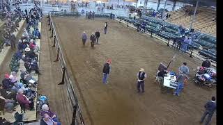 Topeka Livestock Auction Live Stream [upl. by Avitzur]