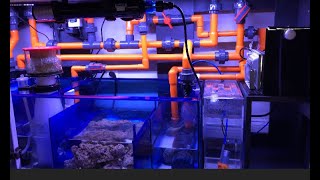 How To The Ultimate Filtration Sumps [upl. by Raye]