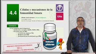 44 CÉLULAS Y MECANISMOS DE LA INMUNIDAD INNATA [upl. by Atilemrac]