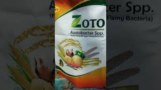 Azotobacter spp zoto free living nitrogen fixing bacteria DKM [upl. by Mccollum]