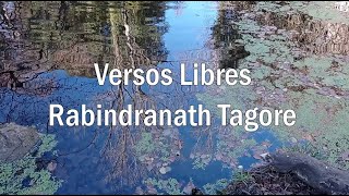 Versos Libres Rabindranath Tagore [upl. by Ennayram]