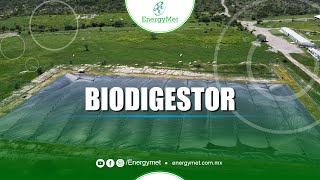 FUNCIONAMIENTO DE UN BIODIGESTOR  ENERGYMET [upl. by Anitroc]