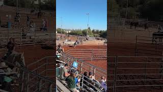 Horse Race in Queen Creek [upl. by Haraf]