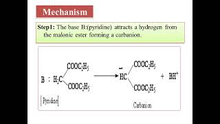 BCU NEP CHEMISTRY PAPER 5 Aldehydes amp ketones06Knoevenagel Condensation with mechanism pyridine [upl. by Oesile]