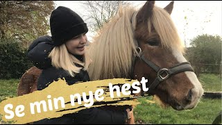 Se min nye hest  VLOG  En dag i stalden [upl. by Luapnaej727]