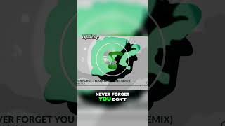 Noisettes Never Forget You Chris Tunes Remix [upl. by Leunas]