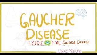 Gaucher Disease  causes  symptoms  diagnosis and treatment  nerves medicine [upl. by Aliel]