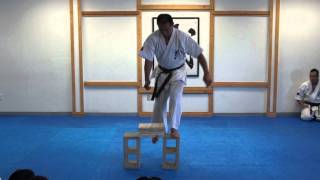 Yamaki Karate 2011 Winter Inhouse Exhibition Adult Brown Tameshiwari [upl. by Lance]