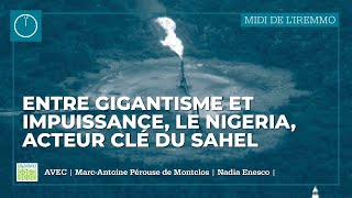 Entre gigantisme et impuissance le Nigeria acteur clé du Sahel [upl. by Roter7]