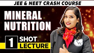 Mineral Nutrition  One Shot Lecture  CHAMPIONS  NEET CRASH COURSE 2022 [upl. by Savage]