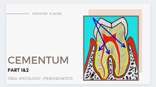 A to Z about CEMENTUM [upl. by Cheyney]