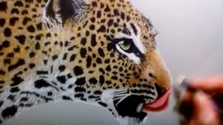 Speed drawing Leopard [upl. by Idnim9]