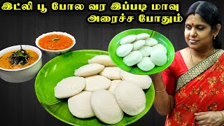 Idli in tamil  மல்லிகை பூ இட்லி இப்படி செஞ்சு அசத்துங்க  Poondu chutney  Karuveppilai chutney [upl. by Karlene521]