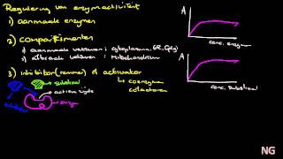 63  Regulering enzymactiviteit  Deel 1 [upl. by Mireille]