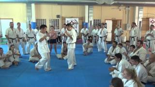 Kyokushin WKB Spain Summer Camp DrFs seminar part 1 [upl. by Knighton]