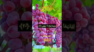 Quran tilawat Surah Al rehman ayat 16 to 22soulfulrecitation quran quranrecitation [upl. by Ambros]