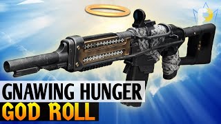 King of Auto Rifles the Gnawing Hunger GOD ROLL  PvP amp PvE Destiny 2 [upl. by Bodnar]