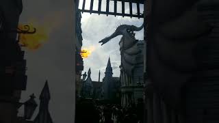 Dragons Fire at Diagon Alley in Universal Studios Orlando Florida [upl. by Emorej394]