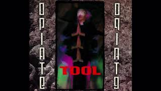 Tool  Opiate  The Gaping Lotus Experience Lyrics in description [upl. by Ennaerb]