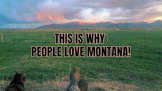 Feeding the HORSES  Montana Sunset  ASMR  relaxing with the cat [upl. by Lekcim]