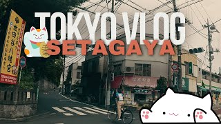 TOKYO VLOG  Setagaya e Gotokuji il Tempio dei Gatti [upl. by Duer209]