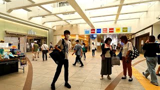 【4K60】真夏の茅ヶ崎駅構内＆周辺を散策！Japan Walking around Chigasaki Station [upl. by Hayyifas]