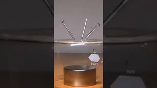 Ferromagnetic effect🧲 A neodymium magnet turns nails into magnets the cap is the north pole [upl. by Sumer]